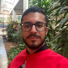 Joao Pedro Galdino Dos Santos BSc